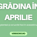 Grădină cu gazon, arbori și flori în luna aprilie